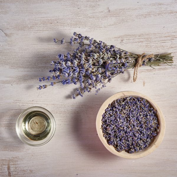 Fine lavender, a natural asset for caring for your hair 1 Lavande bio demangeaison