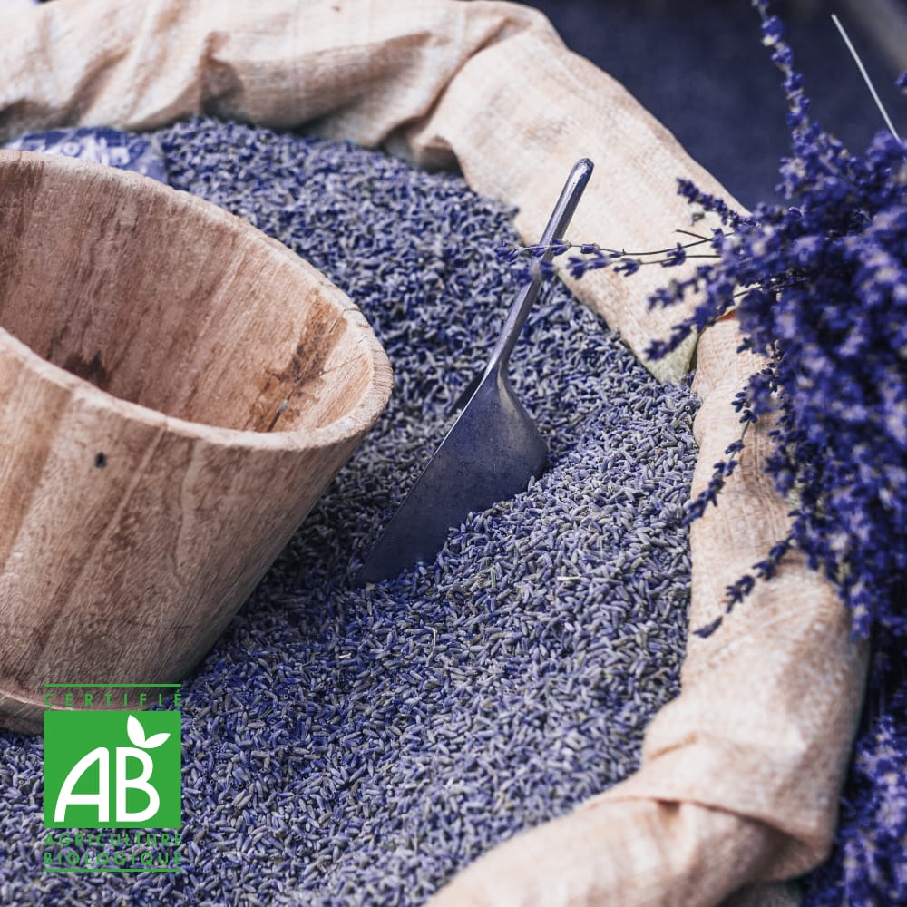 Fleurs de lavandin en vrac bio Fleurs de lavandin en vrac bio