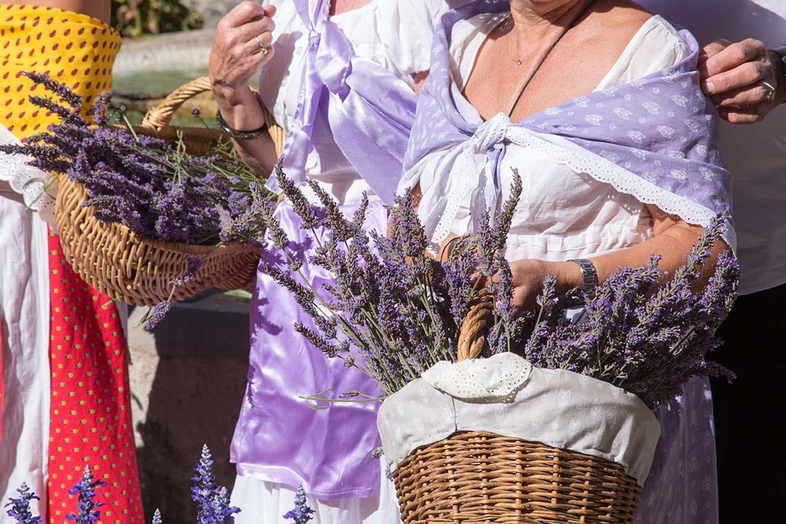 valensole feast of lavender provence france