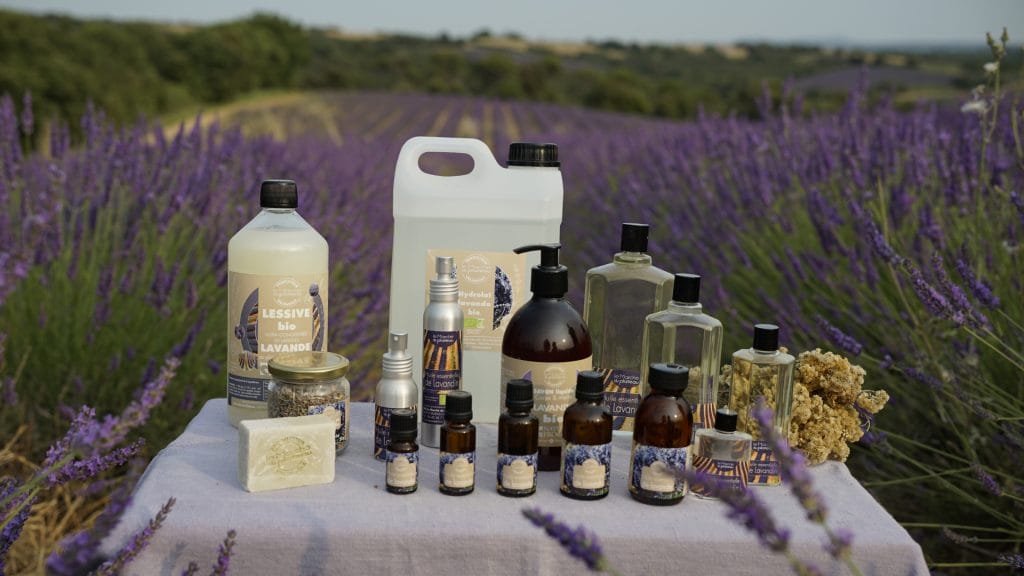 Lavender, a natural stimulant to boost the immune system 1 Un parfum inoubliable
