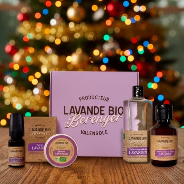 Coffret cadeau spécial Noël