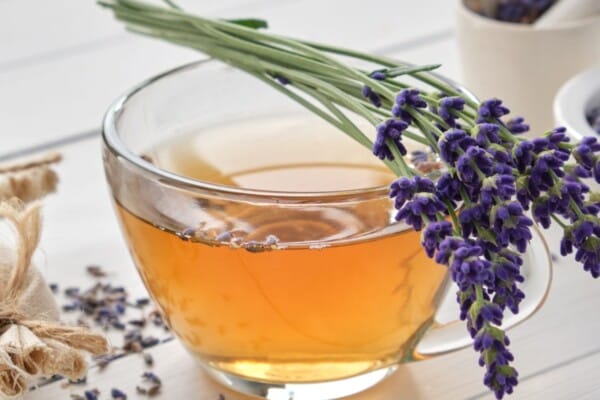 infusion-lavande